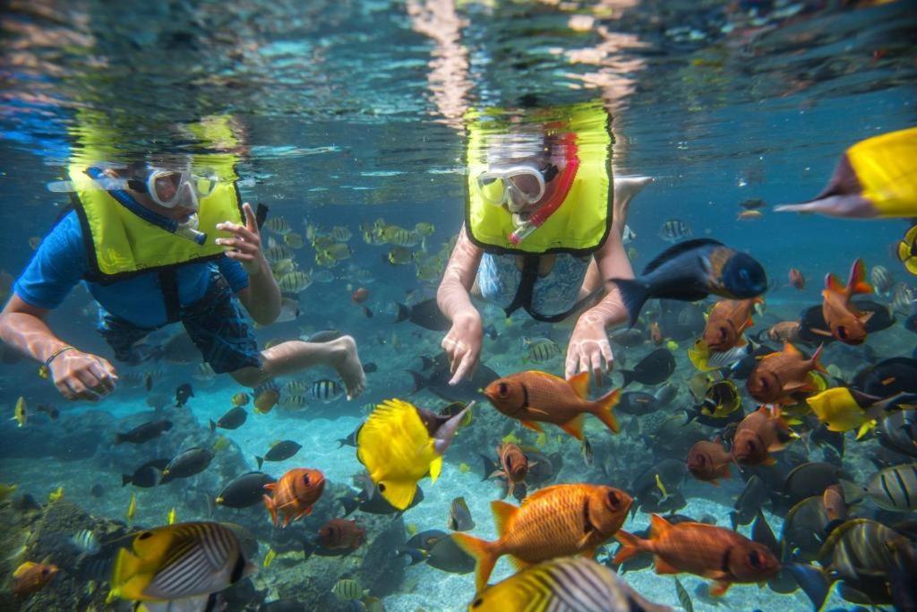 Aulani, A Disney Resort And Spa Honokai Hale Eksteriør bilde